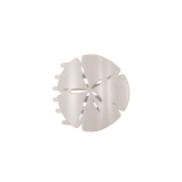 Sand Dollar Medium Flat Hair Clip