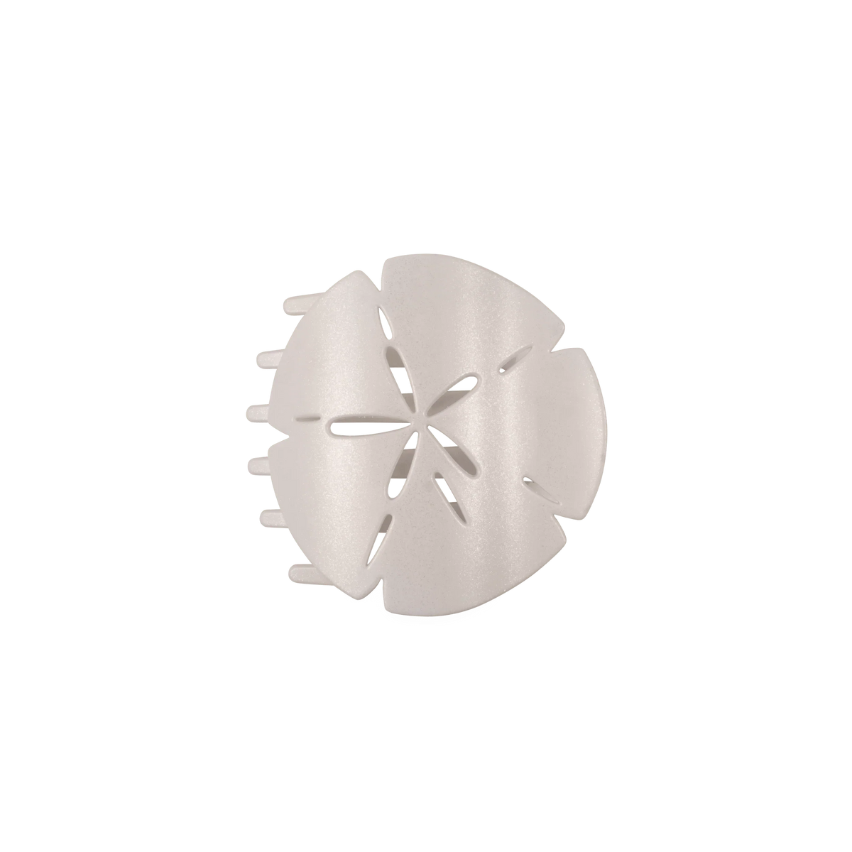 Sand Dollar Medium Flat Hair Clip